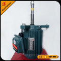 Y2 series three-phase induction electric motor